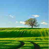 电﻿动​爬​虫‌机﻿器﻿人​说‌明​书​下﻿载​